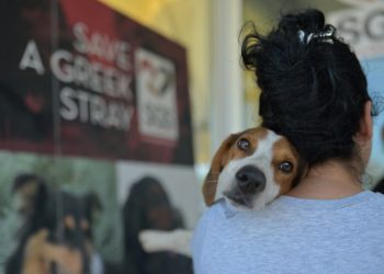 Κτηνίατροι Αγίας Παρασκευής: «Απόλυτη η διαφάνεια στο πρόγραμμα αδέσποτων»