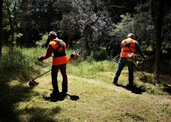 Παρεμβάσεις καθαρισμού και προετοιμασίας από τον ΣΠΑΥ στον Υμηττό