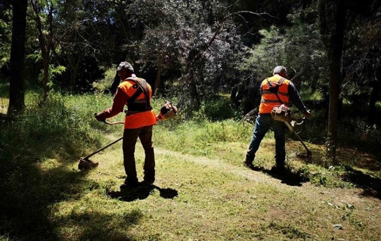 Παρεμβάσεις καθαρισμού και προετοιμασίας από τον ΣΠΑΥ στον Υμηττό