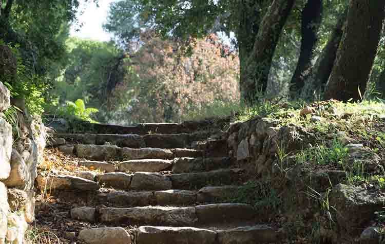 «Εκτός των Τειχών»: «Κάτω τα χέρια από το δάσος Συγγρού»