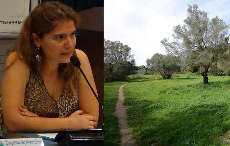 Μ. Διακολιού: «Ο κ. Αμπατζόγλου… και οι “Παπαρούνες”»