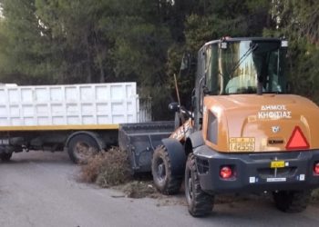 Καθαρισμός στο δάσος Φασίδερη  και στο ρέμα της Χελιδονούς στις 5 Ιουλίου