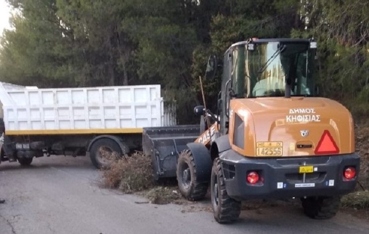 Καθαρισμός στο δάσος Φασίδερη  και στο ρέμα της Χελιδονούς στις 5 Ιουλίου