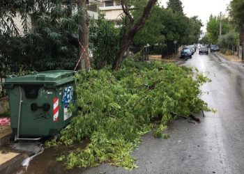 Δήμος Χαλανδρίου κατά ΕΔΣΝΑ για τη χρέωση κλαδεμάτων και βιοαποβλήτων