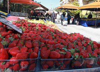 «Χείρα βοηθείας» σε οικογένειες μέσω λαϊκών αγορών