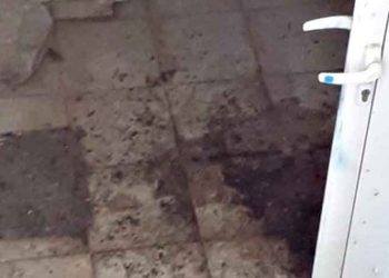 Μ. Διακολιού: «“Τρίποντο” Αμπατζόγλου και στις τουαλέτες!»