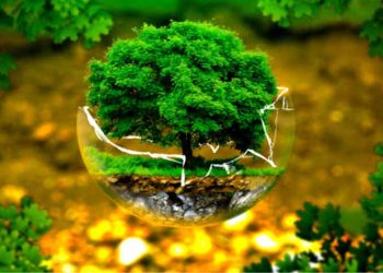 Καρέ δράσεων για την Παγκόσμια Ημέρα Περιβάλλοντος