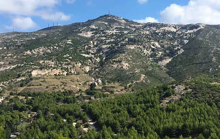 Δήμητρα Κεχαγιά : «Η προστασία του Περιβάλλοντος είναι βασική μας προτεραιότητα»