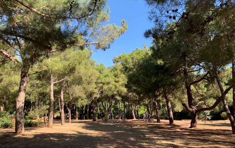 Εργασίες αποψίλωσης στο άλσος «Πουλάκη» στη Φιλοθέη