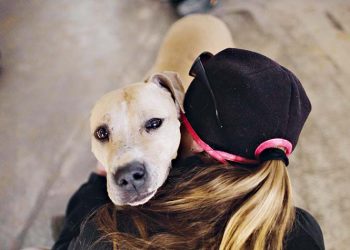 Ο ιδανικός σκύλος για μένα