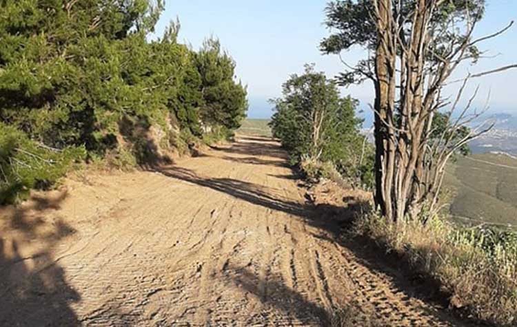 O ΣΠΑΠ συνεχίζει τις εργασίες συντήρησης δασικών δρόμων