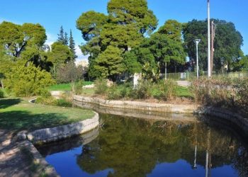 Έκτακτο θέμα στο Δημοτικό Συμβούλιο η «ανάπλαση» του δάσους Συγγρού