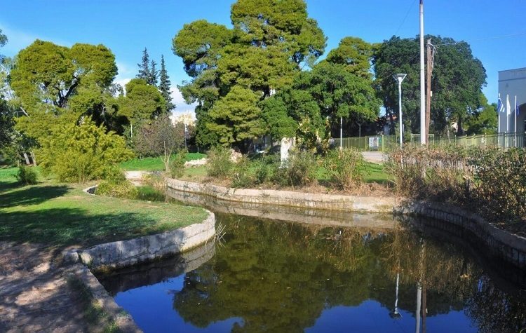 Έκτακτο θέμα στο Δημοτικό Συμβούλιο η «ανάπλαση» του δάσους Συγγρού