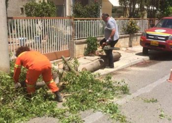 «Από μηχανής» παρέμβαση κοπής δέντρου από εθελοντές