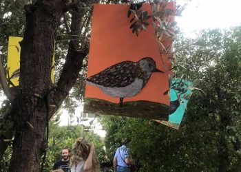 Ανατρεπτική ματιά στην καθημερινότητα με «όχημα» την έμπνευση