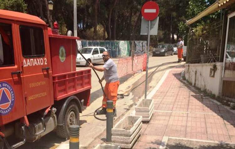 «Πυροσβεστική» παρέμβαση καθαρισμού από εθελοντές δασοπροστασίας (βίντεο)