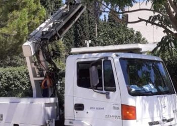 Συνεργεία του ΔΕΔΔΗΕ κλάδεψαν δέντρα και απελευθέρωσαν καλώδια φωτισμού