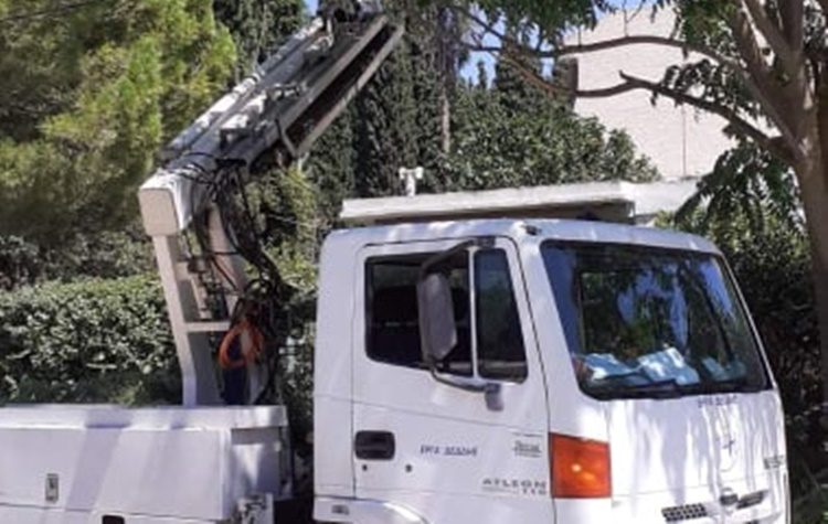 Συνεργεία του ΔΕΔΔΗΕ κλάδεψαν δέντρα και απελευθέρωσαν καλώδια φωτισμού