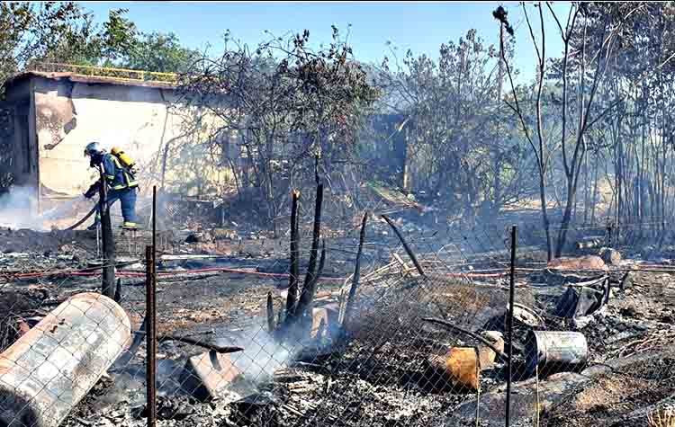 Φωτιά στο Πεύκο Πολίτη - Εξετάζεται το ενδεχόμενο εμπρησμού