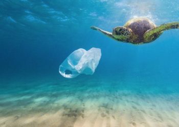 «Ένα Αρχιπέλαγος Χωρίς Πλαστικά» από τον ΣΠΑΠ και τον Δήμο Ραφήνας - Πικερμίου