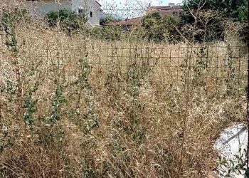 Γ. Πισιμίσης «Τα ξερόχορτα εγκυμονούν κινδύνους πρόκλησης πυρκαγιάς»