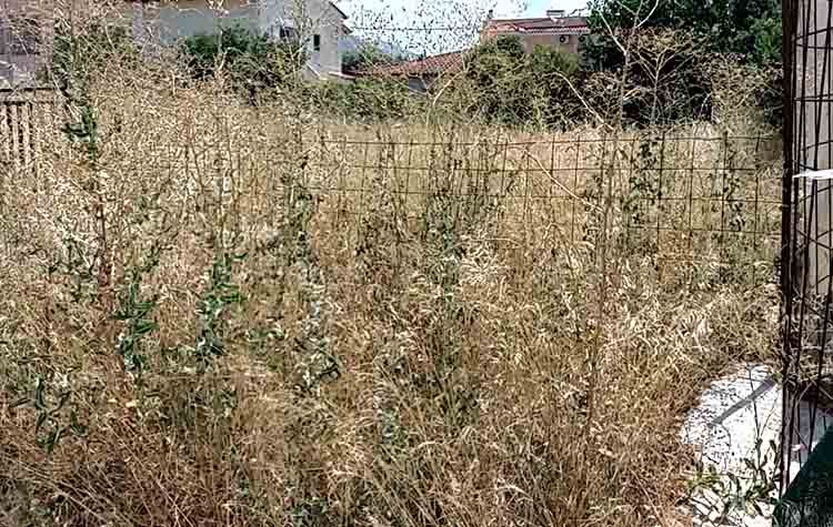 Γ. Πισιμίσης «Τα ξερόχορτα εγκυμονούν κινδύνους πρόκλησης πυρκαγιάς»