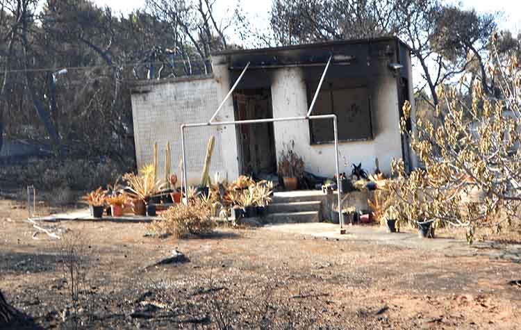 Τραγωδία στο Μάτι: Εισαγγελική παρέμβαση για τα περί συγκάλυψης ευθυνών