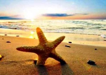 Ανάσες δροσιάς για ευπαθείς ομάδες του Δήμου