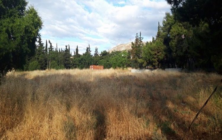 «Οι ιδιοκτήτες ακάλυπτων χώρων οφείλουν να τους κρατούν καθαρούς»