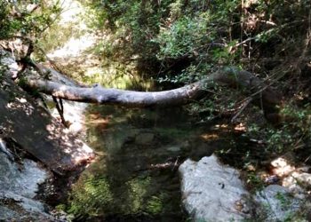 Αυτοψίες της Περιφέρειας στα ρέματα σε όλη την Αττική