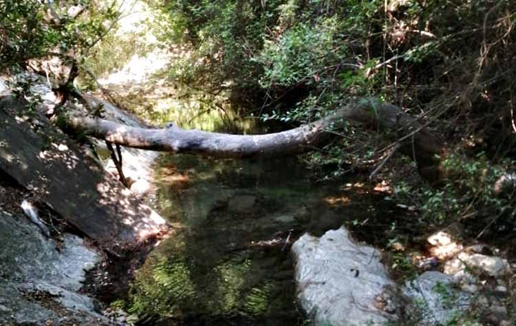 Αυτοψίες της Περιφέρειας στα ρέματα σε όλη την Αττική
