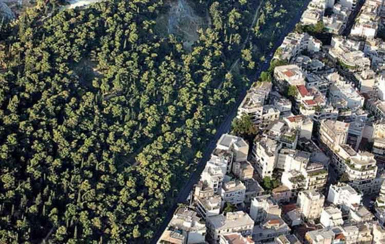 Παράταση 25 ημερών για τους δασικούς χάρτες