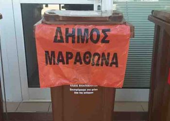 Τοποθέτηση καφέ κάδων ανακύκλωσης