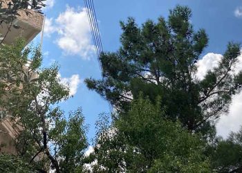 Την υπογειοποίηση του δικτύου ηλεκτροδότησης ζητά η Δήμητρα Κεχαγιά