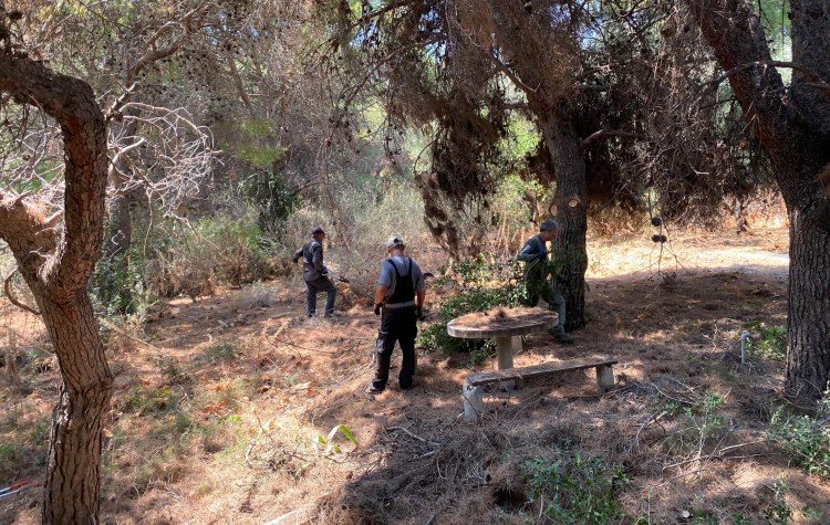 Άμεση επέμβαση του Δήμου Λαυρεωτικής για αποψίλωση – καθαρισμό oικοπέδου