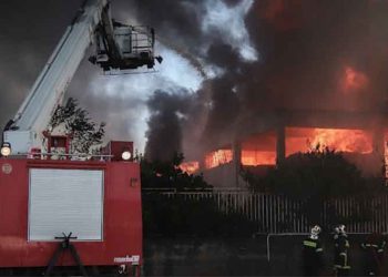 Στράτος Σαραούδας: «Η φωτιά μπορεί να υποχωρεί, όχι όμως το περιβαλλοντικό πλήγμα»