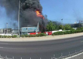 Στράτος Σαραούδας: «Η φωτιά μπορεί να υποχωρεί, όχι όμως το περιβαλλοντικό πλήγμα»