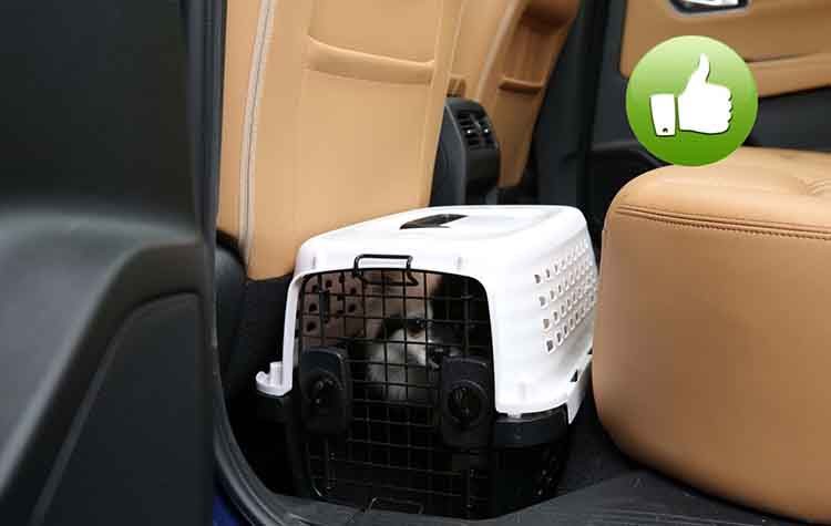 Η Nissan μοιράζεται συμβουλές για την ασφάλεια των κατοικιδίων