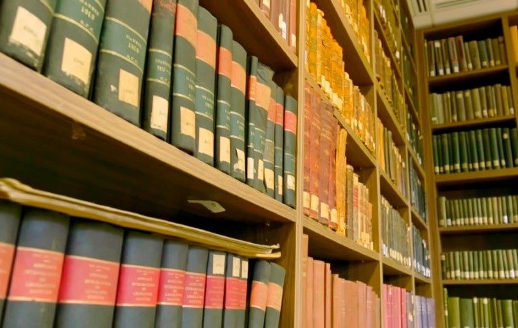 Διαδικτυακός… περίπατος στο Δάσος Συγγρού