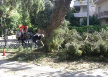 Ατύχημα στο κέντρο του Χαλανδρίου - Τραυματίστηκε περαστικός από πτώση δέντρου (βίντεο - φωτό)