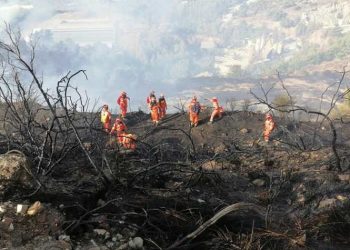 «Πέρασαν» ξανά  το τεστ ετοιμότητας για τον Υμηττό φορείς και εθελοντές (Βίντεο)