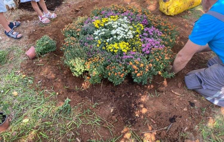 «Ξαναζωντάνεψε» η πλατεία Ελευθερίας του Παπάγου (Βίντεο)