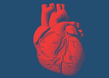 Δωρεάν μέτρηση της κοιλιακής αορτής στα Δημοτικά Ιατρεία