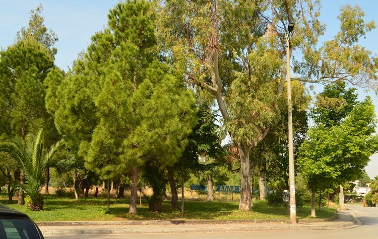 Ηλιακό Χωριό: Επιστολή στην Ε.Δ.Α. για έργο του φυσικού αερίου στην οδό Ευκλείδου