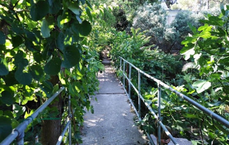 «Δικτυώνοντας» τη Ρεματιά με τα σχολεία και τις επιστήμες