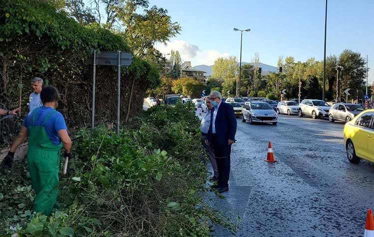 Εκτεταμένος καθαρισμός του κτήματος Συγγρού επί της Λ. Κηφισιάς