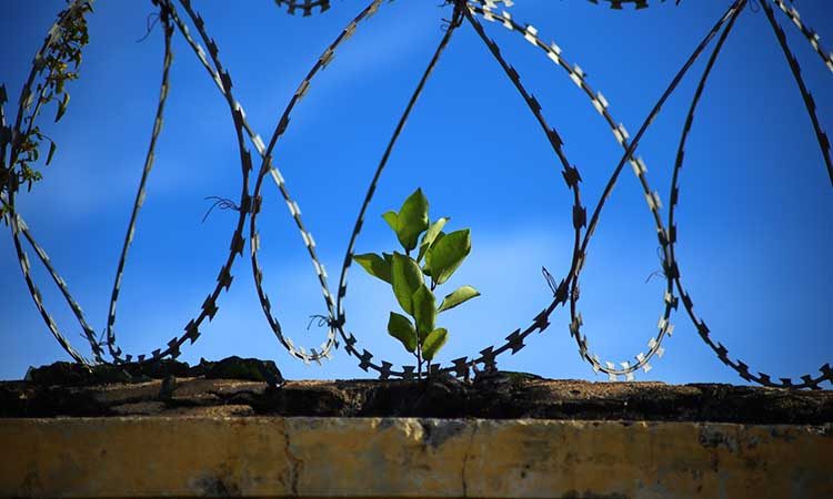 Ευχαριστήριο μήνυμα από τις γυναικείες φυλακές Ελαιώνα