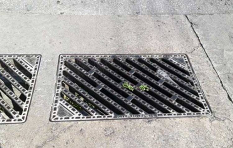 Παρεμβάσεις Γ. Σταθόπουλου - Γ. Οικονόμου για το «μεγάλο πρόβλημα δυσωδίας»