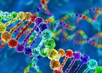 ΑΠΟΚΑΛΥΨΕΙΣ της κοινωνιο-βιολογίας για τις… ΠΟΛΙΤΙΚΕΣ μας επιλογές!