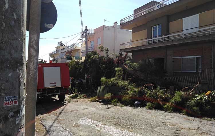 «Βομβαρδισμένο» τοπίο το Ηράκλειο από τη νεροποντή - Τραυματίες και καταστροφές (φωτο)